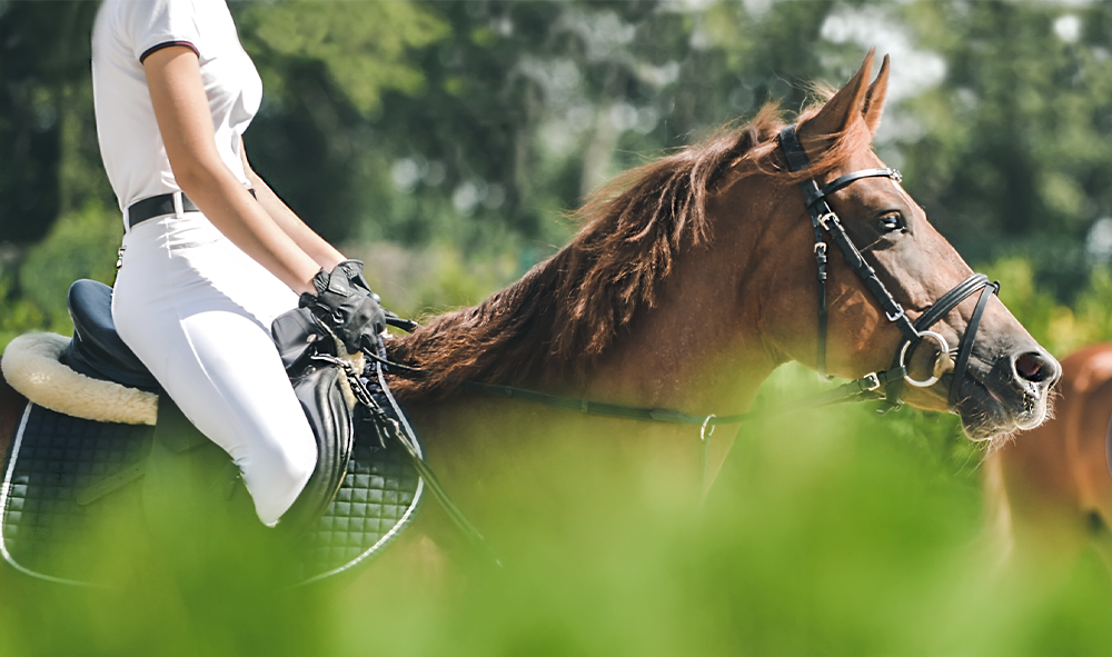 Danielle Miranda, RESIDENTIAL, LUXURY & EQUESTRIAN ESTATES, Palm Beach ... - Equestrian Luxury Real Estate Agents
